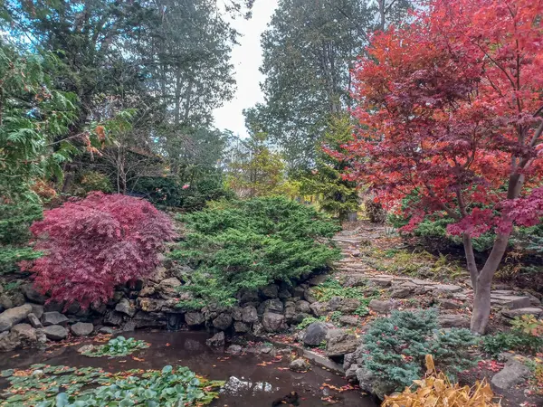 Toronto, Kanada 'da canlı sonbahar ağaçlarıyla çevrili yeşil bir çimenliğin kenarını kıvrımlı bir patika takip ediyor..