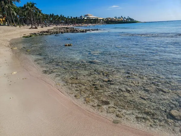 Quintana Roo, Meksika - 20 Kasım 2024 Playa del Car bölgesinde Playa del Carmen, Meksika