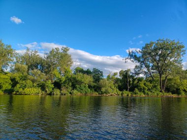 Ağaçlar, yumuşak akşam ışığı altında High Park 'taki sakin bir kayalık dereye yansıyor..