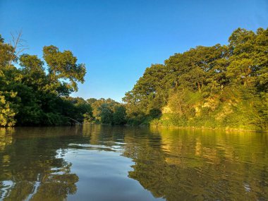 Ağaçlar, yumuşak akşam ışığı altında High Park 'taki sakin bir kayalık dereye yansıyor..