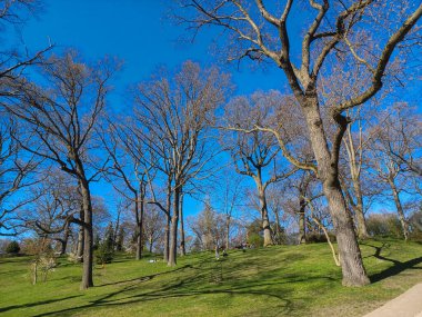 Toronto, ON, Kanada, 11 Temmuz 2024: İkonik Humber Körfezi Kemer Köprüsü, arka planda parçalı bulutlu bir gökyüzünün altında yüksek binalarla nehri gerer.