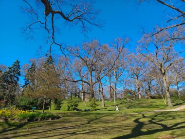 Toronto, ON, Kanada, 11 Temmuz 2024: İkonik Humber Körfezi Kemer Köprüsü, arka planda parçalı bulutlu bir gökyüzünün altında yüksek binalarla nehri gerer.