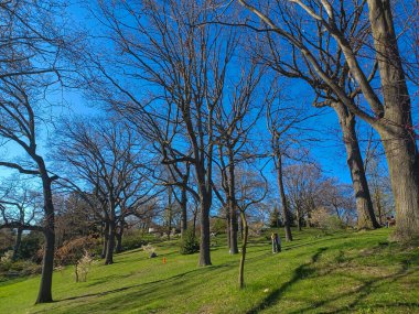 Toronto, ON, Kanada, 11 Temmuz 2024: İkonik Humber Körfezi Kemer Köprüsü, arka planda parçalı bulutlu bir gökyüzünün altında yüksek binalarla nehri gerer.