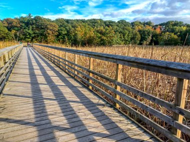 Toronto, ON, Kanada, 11 Temmuz 2024: İkonik Humber Körfezi Kemer Köprüsü, arka planda parçalı bulutlu bir gökyüzünün altında yüksek binalarla nehri gerer.