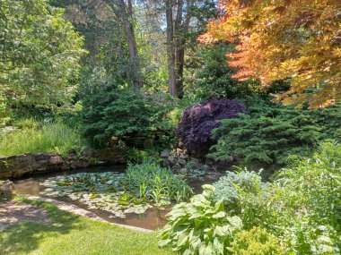 Toronto, Kanada 'da canlı sonbahar ağaçlarıyla çevrili yeşil bir çimenliğin kenarını kıvrımlı bir patika takip ediyor..