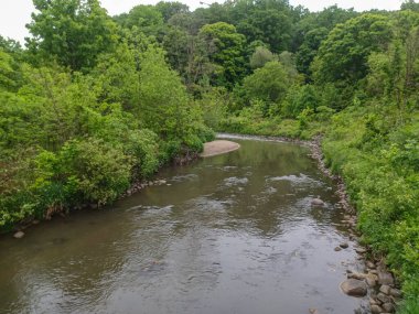 Yağmurlu bir günde küçük bir dere manzarası