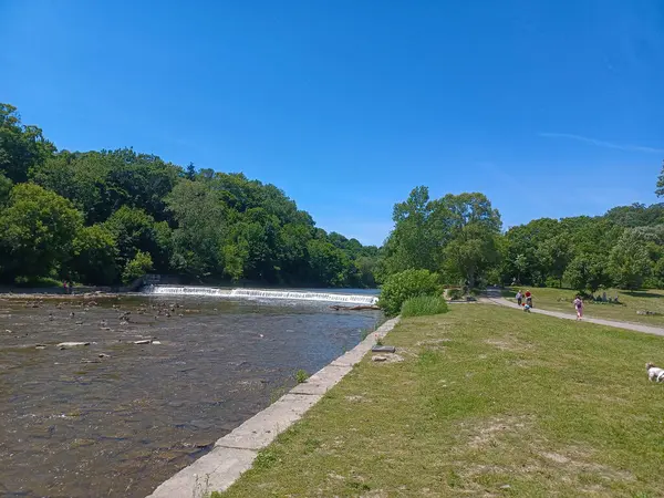 Ağaçlar, yumuşak akşam ışığı altında High Park 'taki sakin bir kayalık dereye yansıyor..