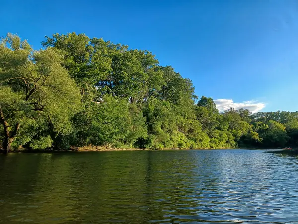 Ağaçlar, yumuşak akşam ışığı altında High Park 'taki sakin bir kayalık dereye yansıyor..