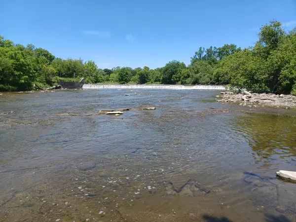 Akşam güneşi Humber Nehri somon merdivenini aydınlatıyor. İnsanlar nehir boyunca toplanıp akan suyu seyrediyorlar..