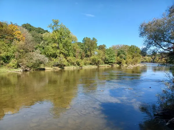 Akşam güneşi Humber Nehri somon merdivenini aydınlatıyor. İnsanlar nehir boyunca toplanıp akan suyu seyrediyorlar..