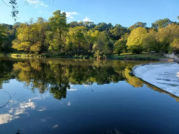 Akşam güneşi Humber Nehri somon merdivenini aydınlatıyor. İnsanlar nehir boyunca toplanıp akan suyu seyrediyorlar..
