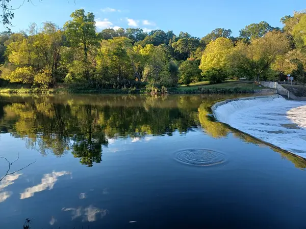 Akşam güneşi Humber Nehri somon merdivenini aydınlatıyor. İnsanlar nehir boyunca toplanıp akan suyu seyrediyorlar..