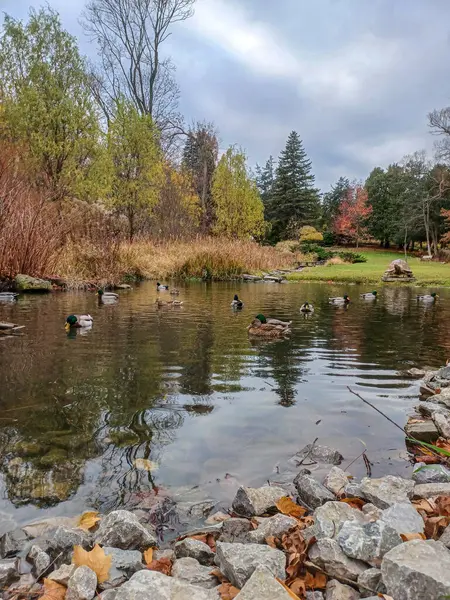Toronto, ON, Kanada, 11 Temmuz 2024: İkonik Humber Körfezi Kemer Köprüsü, arka planda parçalı bulutlu bir gökyüzünün altında yüksek binalarla nehri gerer.