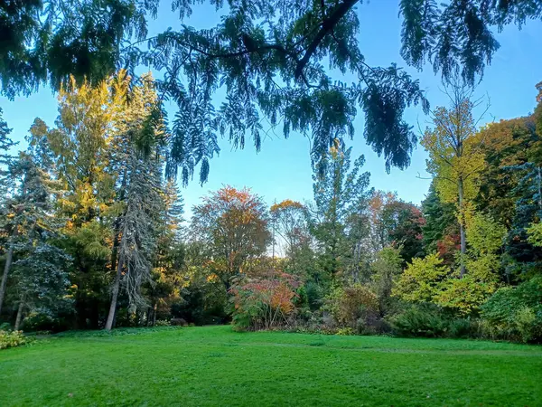 Toronto, Kanada 'da canlı sonbahar ağaçlarıyla çevrili yeşil bir çimenliğin kenarını kıvrımlı bir patika takip ediyor..