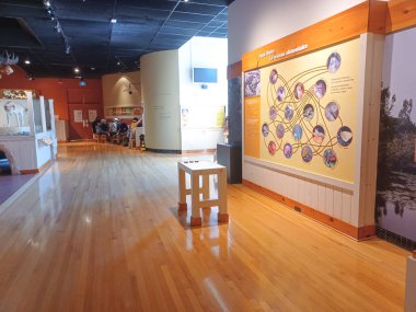 Toronto, ON, Kanada - 18 Aralık 2024: Kraliyet Ontario Müzesi 'ndeki bir sergide Doğal Tarih Koleksiyonu eşyaları sergileniyor.