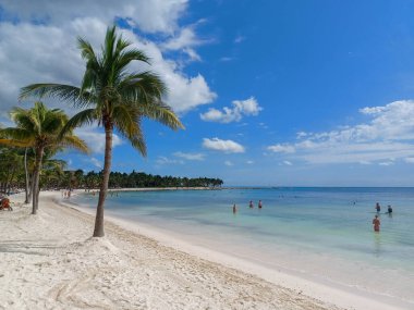 Quintana Roo, Meksika - 20 Kasım 2024 Playa del Car bölgesinde Playa del Carmen, Meksika