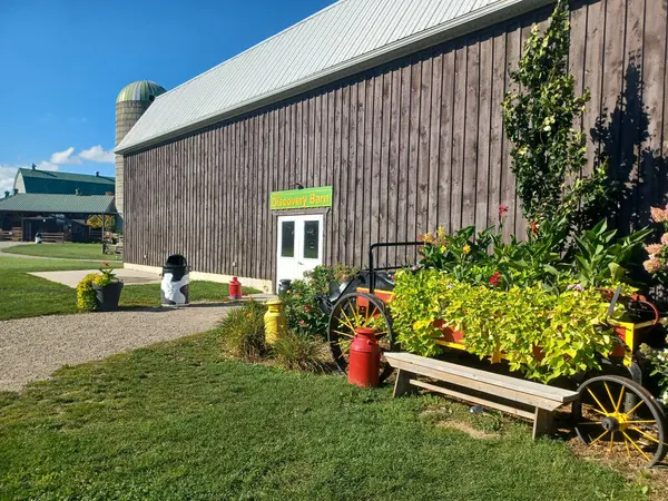 Toronto, ON, Kanada 1 Eylül 2024: Downeys Çiftliği 'nde yeşil çimenler, çam ağaçları ve kabarık bulutlu parlak mavi gökyüzü çerçeveli büyük bir ahırın yanında küçük kahverengi bir ahşap kulübe duruyor...