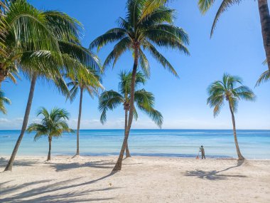 Quintana Roo, Meksika - 20 Kasım 2024 Playa del Car bölgesinde Playa del Carmen, Meksika
