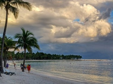 Quintana Roo, Meksika - 20 Kasım 2024 Playa del Car bölgesinde Playa del Carmen, Meksika