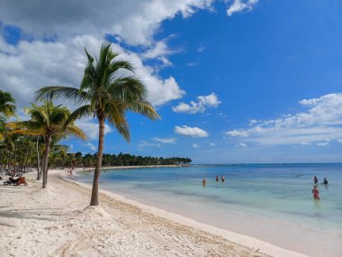 Quintana Roo, Meksika - 20 Kasım 2024 Playa del Car bölgesinde Playa del Carmen, Meksika