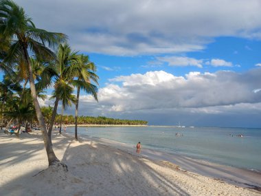 Quintana Roo, Meksika - 20 Kasım 2024 Playa del Car bölgesinde Playa del Carmen, Meksika