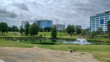 Charlotte, NC, ABD - 30 Nisan 2025: Modern ofis binaları yeşil çimenlerin, ağaçların ve Ballantyne Corporate Park 'ta bulutlu bir gökyüzünün altında bir yürüyüş yolunun ortasında duruyor.