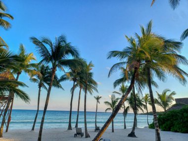 Quintana Roo, Meksika - 20 Kasım 2024 Playa del Car bölgesinde Playa del Carmen, Meksika