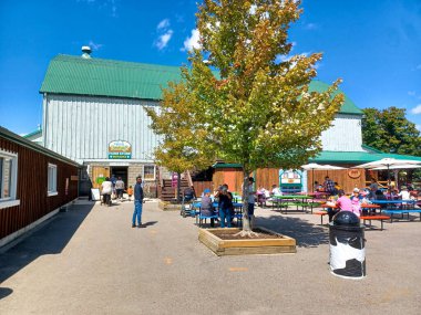 Toronto, ON, Kanada 1 Eylül 2024: Ziyaretçiler Ontario 'daki lunaparkın güneşli bir gününde Downey' s Farm Store 'un dışındaki piknik masalarında toplandılar., 