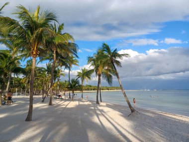 Quintana Roo, Meksika - 20 Kasım 2024 Playa del Car bölgesinde Playa del Carmen, Meksika
