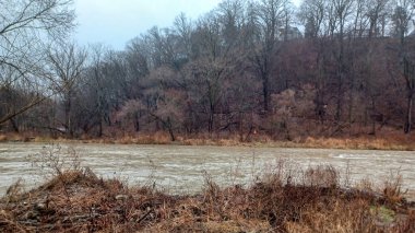 Humber River flows swiftly through a bare winter forest under a grey sky during a rainy day.