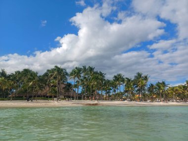 Quintana Roo, Meksika - 20 Kasım 2024 Playa del Car bölgesinde Playa del Carmen, Meksika
