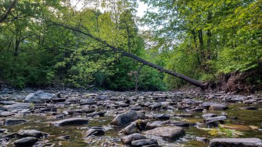 Toronto, ON, Kanada 15 Mayıs 2024: Dağılmış kayalar ve günbatımında yemyeşil ağaçlarla dolu sığ bir dere Yüksek Park boyunca akar..