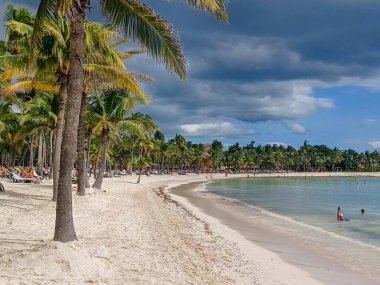 Quintana Roo, Meksika - 20 Kasım 2024 Playa del Car bölgesinde Playa del Carmen, Meksika