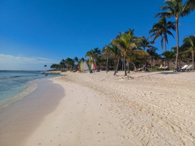 Quintana Roo, Meksika - 20 Kasım 2024 Playa del Car bölgesinde Playa del Carmen, Meksika