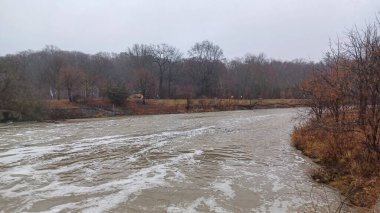  Humber River flows swiftly through a bare winter forest under a grey sky during a rainy day.