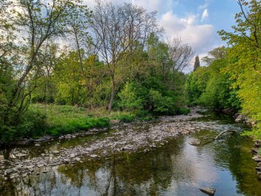 Ağaçlar, yumuşak akşam ışığı altında High Park 'taki sakin bir kayalık dereye yansıyor..