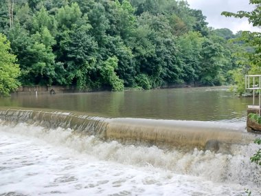 Su Humber Nehri 'nde, sık yeşil ormanlarla çevrili kavisli bir somon merdiveni üzerinden akar..