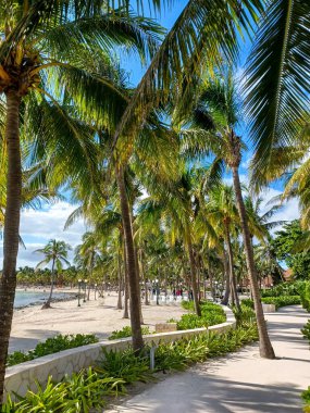 Playa del Carmen, Quintana Roo, Meksika - 20 Kasım 2024: Sonbahar sezonunda Barcelo Maya Oteli bölgesinde