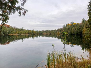  Crawford Gölü 'nün sakin, ayna benzeri yüzeyi koruma alanındaki sessiz patika boyunca düşen ağaçları yansıtıyor..