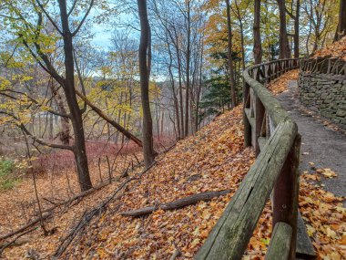 Toronto 'daki James Gardens' ın yemyeşil yeşillikleri arasında ahşap çitli sessiz bir orman patikası..