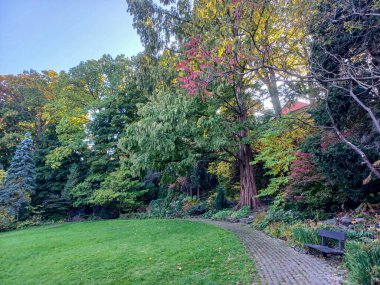 Toronto, Kanada 'da uzun ağaçlarla çevrili renkli bir çiçek bahçesinde güneşli bir yol esiyor..
