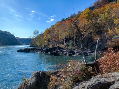 Niagara Şelalesi 'nin yanındaki Glen patikasından Niagara nehrinin manzarası