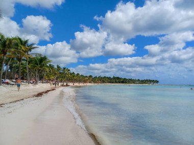 Quintana Roo, Meksika - 20 Kasım 2024 Playa del Car bölgesinde Playa del Carmen, Meksika