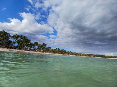 Quintana Roo, Meksika - 20 Kasım 2024 Playa del Car bölgesinde Playa del Carmen, Meksika