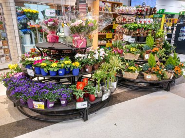 Toronto, ON, Canada - October 5, 2025: View of the flowers department in the Canadian store.