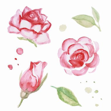 gül suluboya pembe mahsul seti