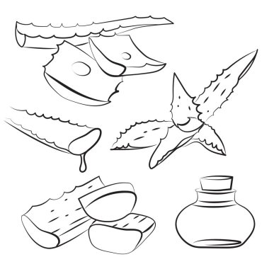 aloe vera çizgi çizim seti