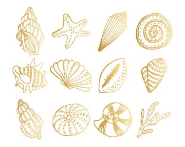 Altın deniz kabukları seti. El yapımı deniz kabukları. Dekor elemanları, vektör