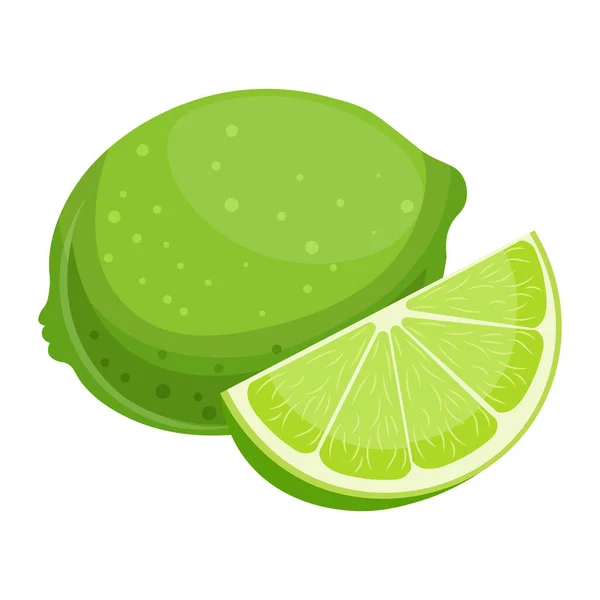 Färgglada Lime Och Skiva Vit Bakgrund Frukt Bakgrund Tryck Vektor — Stock vektor