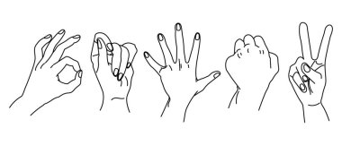 Bir dizi çizilmiş insan eli. Boyama kitabı, çizim, vektör için tasarım